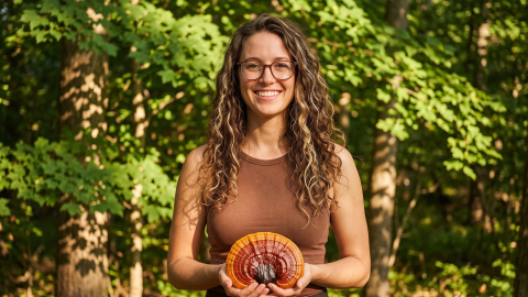 El fascinante reishi (Ganoderma lucidum)